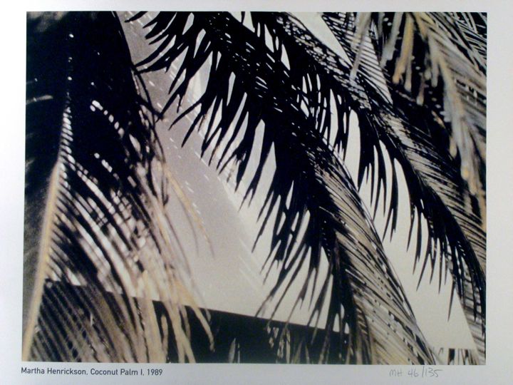 Henrickson---100-Coconut-Palm-I.jpg