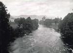 1982_38_733.jpg