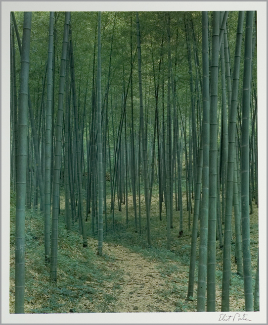UM1985-28-1.jpg
