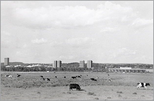 UM1978-76.jpg