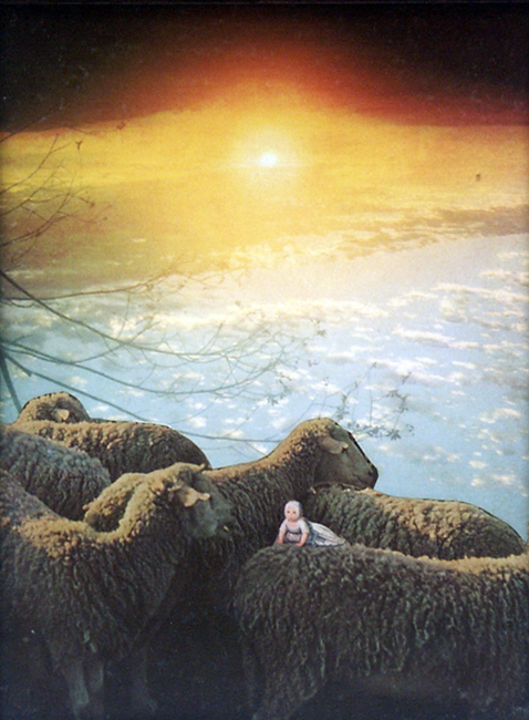 UM1976-6-v1.jpg
