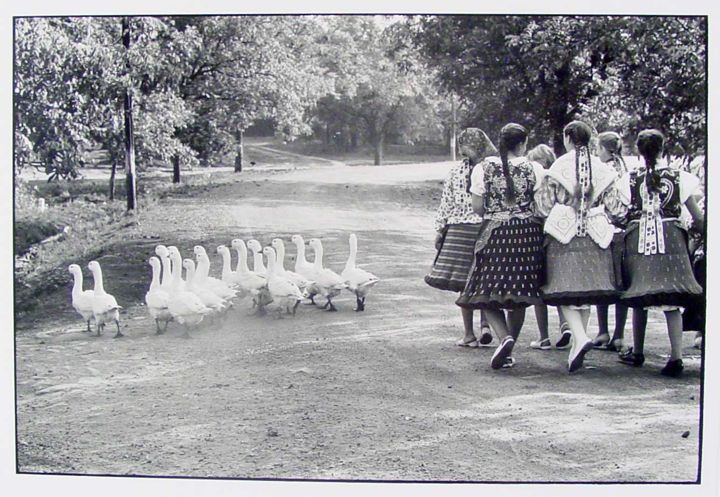 Erwitt---04-geese.jpg