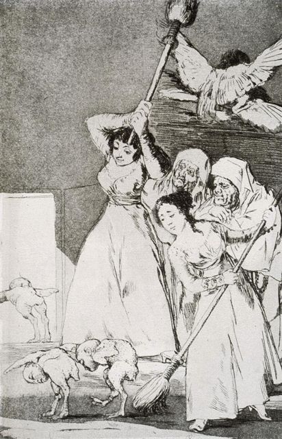Goya - ya van deplumados.jpg
