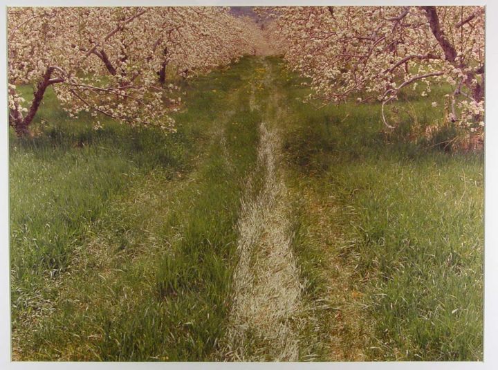 Liebling---01-Apple-Orchard.jpg