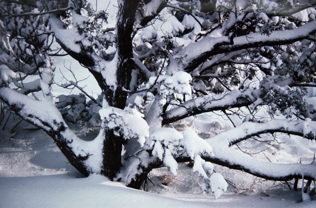 UM1984-28-1.jpg