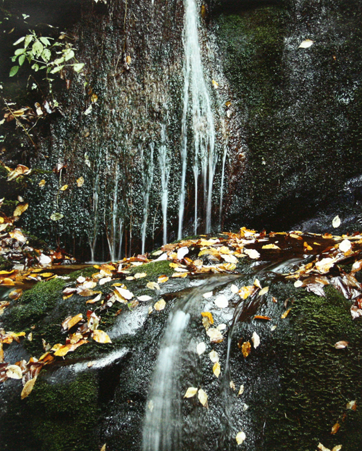 UM1984-30-10.jpg