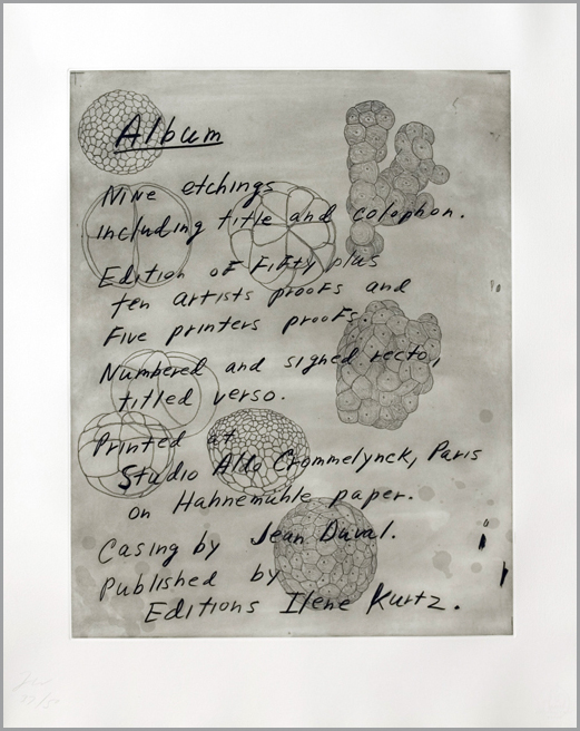 UM2007-2-9.jpg