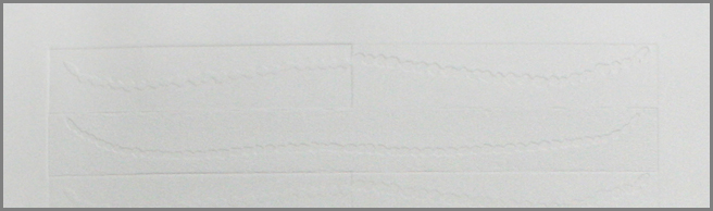 UM2009-4b.jpg