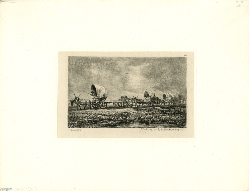 1951-882.jpg