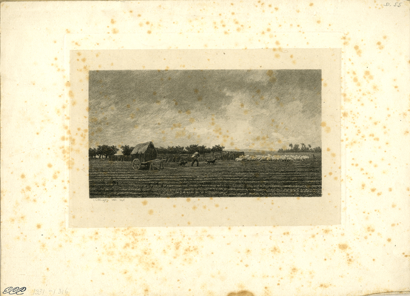 1951-895.jpg