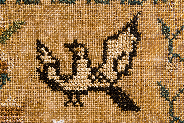 86-86.jpg