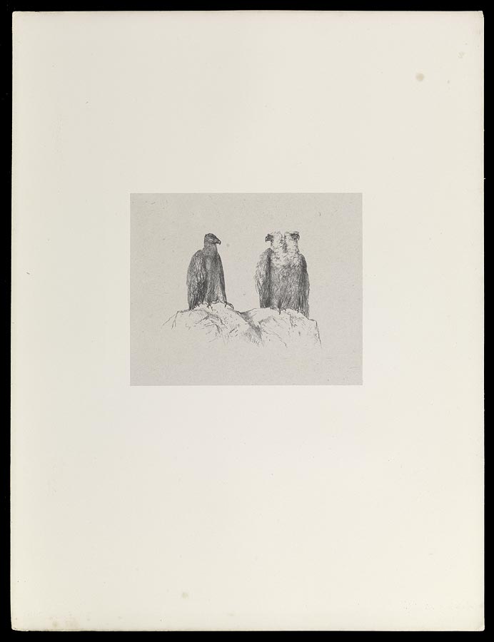 1965_60_A_48.jpg