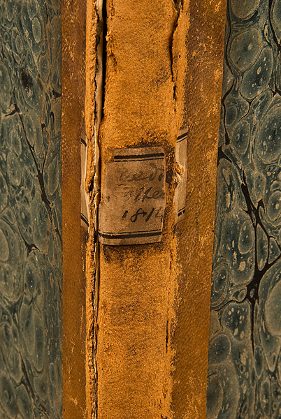 2010-1_PL-11f.jpg