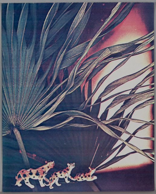 1985-72-3.jpg