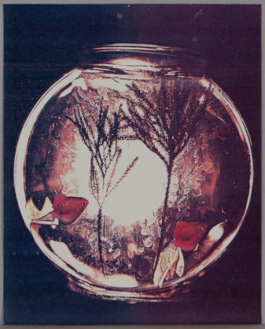 1985-72-20.jpg
