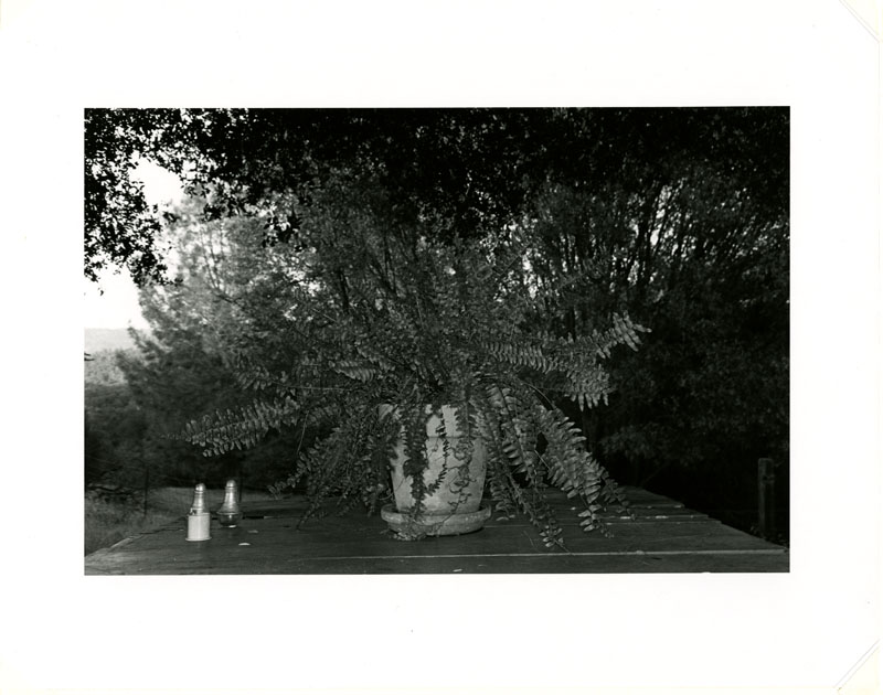 1985-8-36.jpg