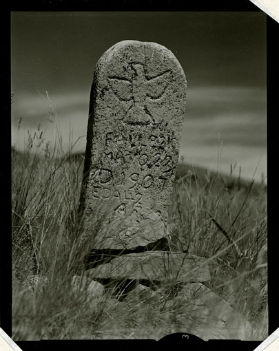 1995-65-3-8.jpg