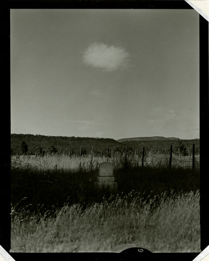 1995-65-4-7.jpg