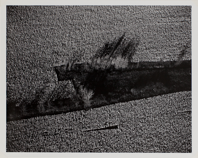 1995-66-10.jpg