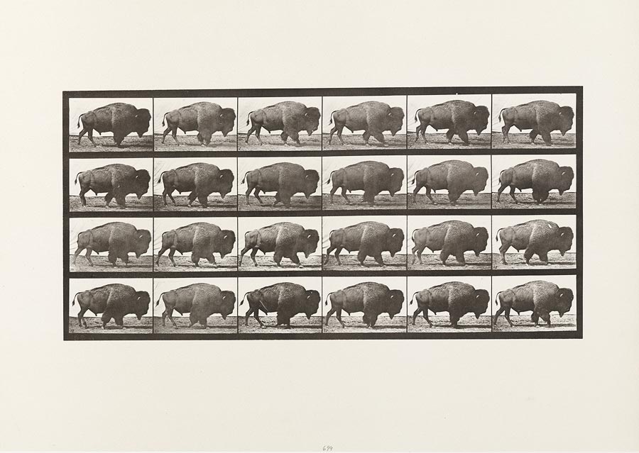 1950_53_699.jpg