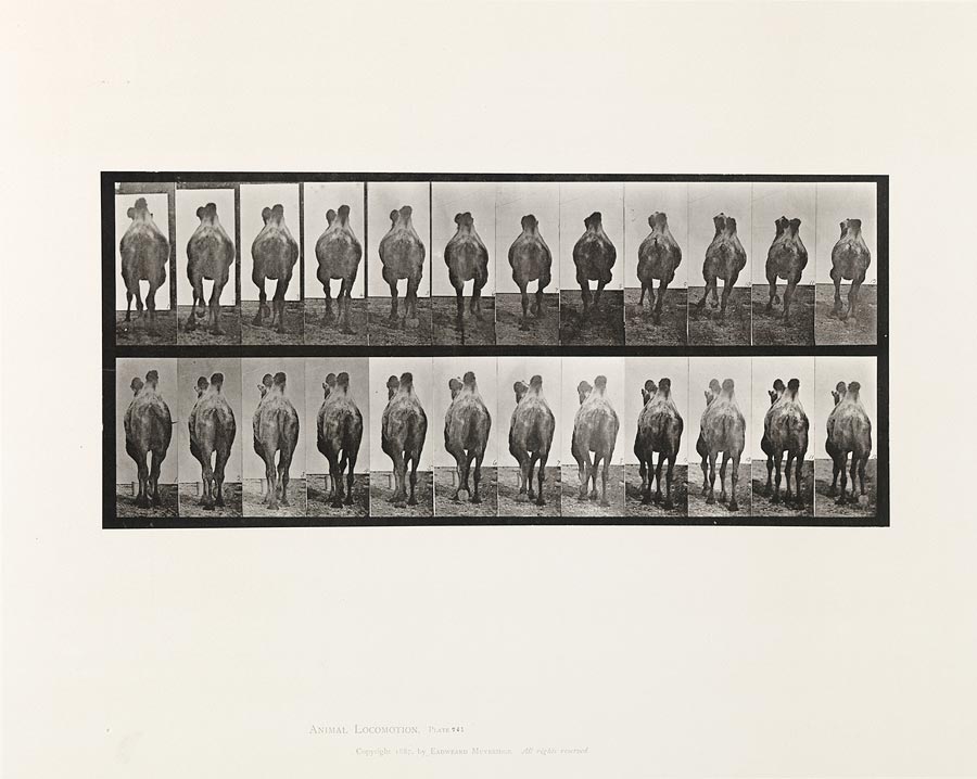 1950_53_741.jpg
