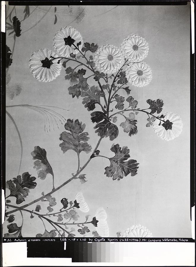 1968_49_34.jpg