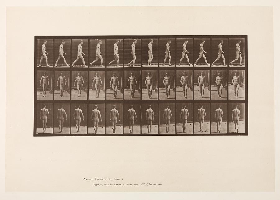 1950_53_1.jpg