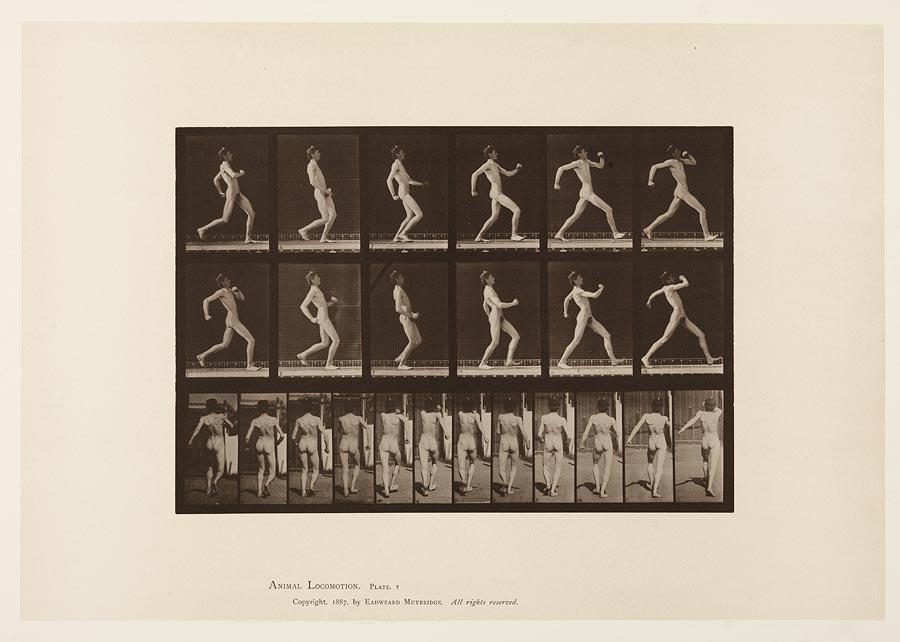 1950_53_7.jpg