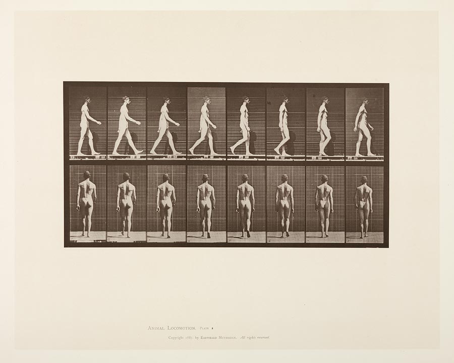 1950_53_8.jpg