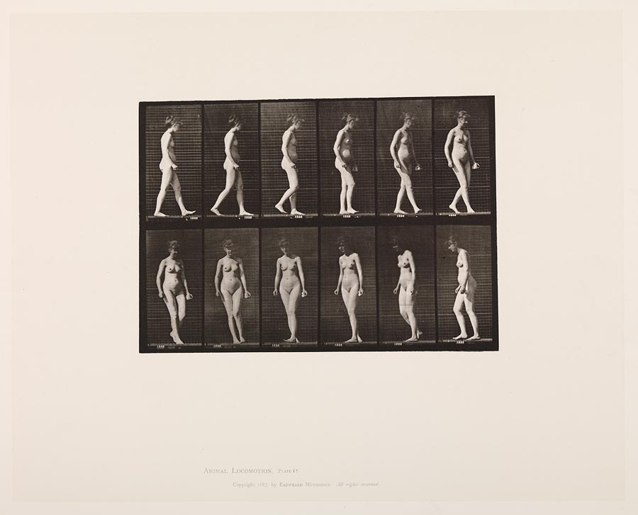 1950_53_47.jpg