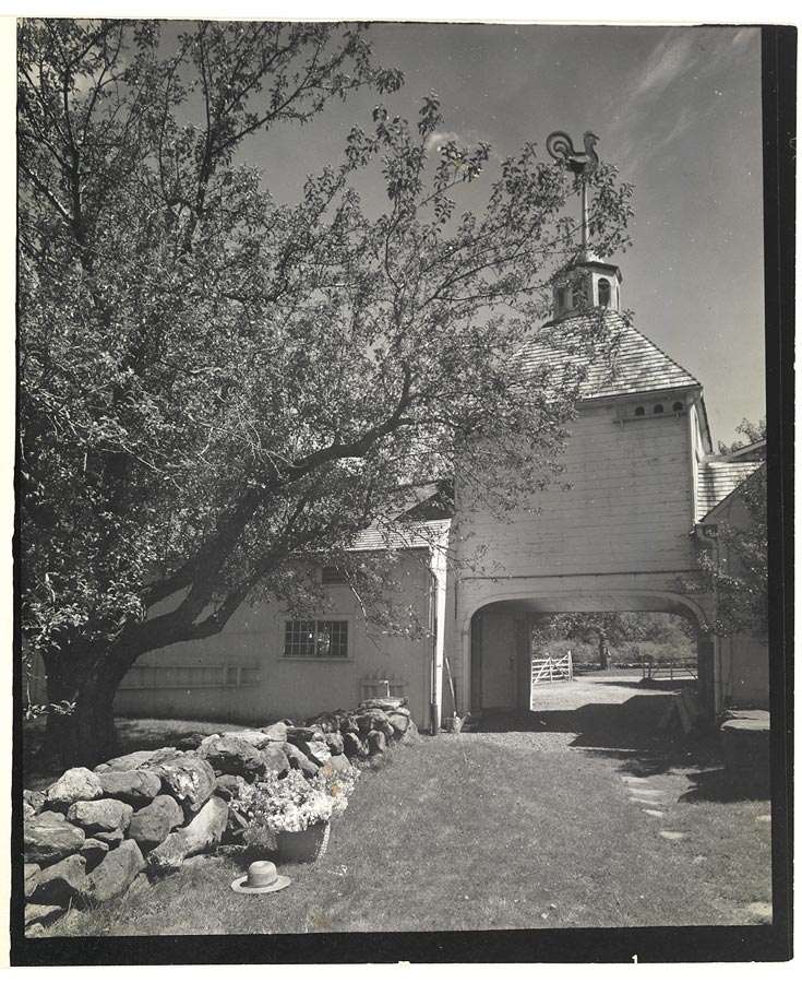 1977_5_36.jpg