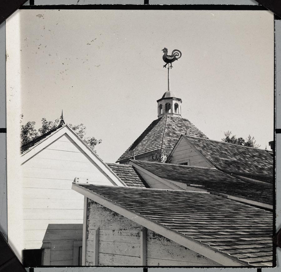 1977_5_43.jpg