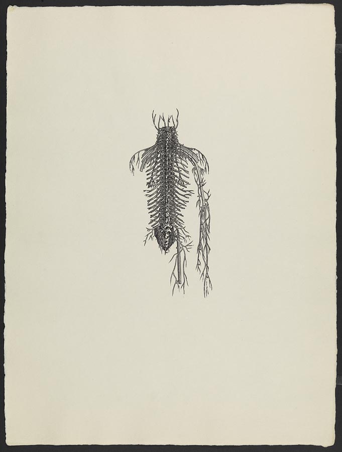 1966_15_24.jpg