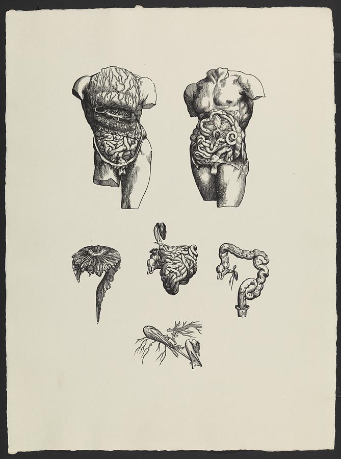 1966_15_25.jpg