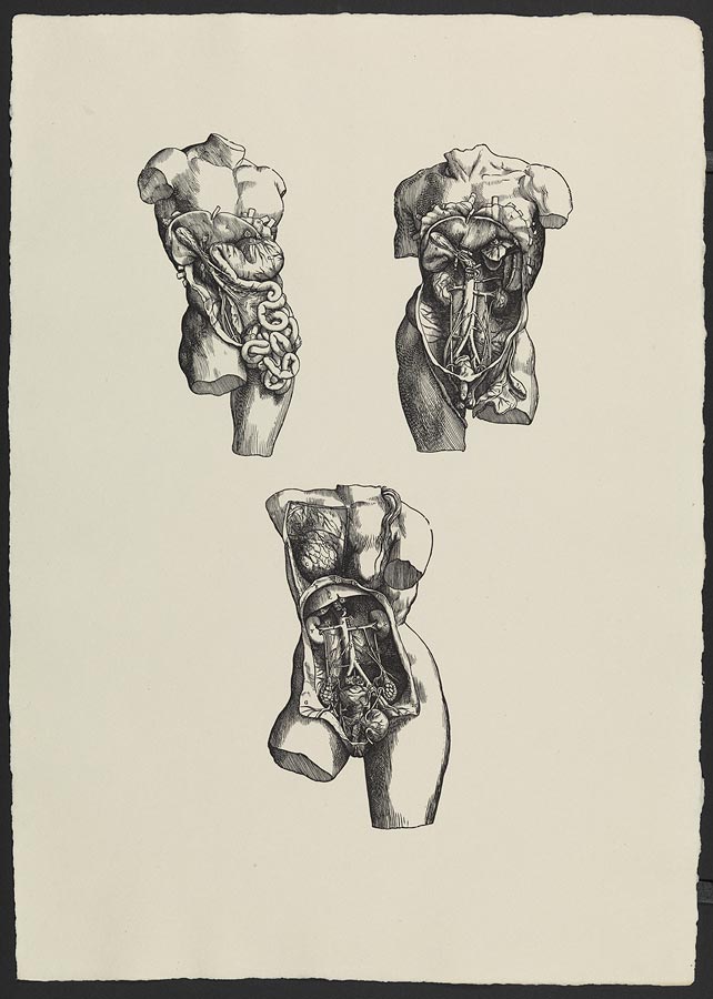 1966_15_26.jpg