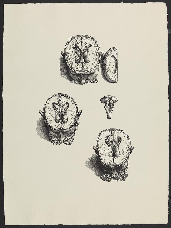 1966_15_28.jpg