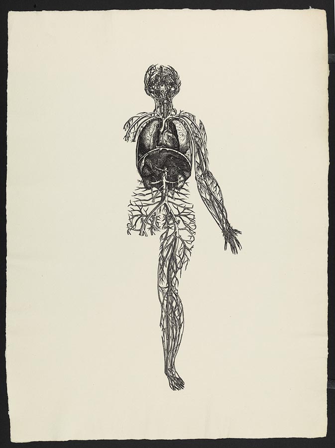 1966_15_39.jpg