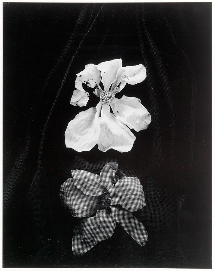 1989_20_1.jpg