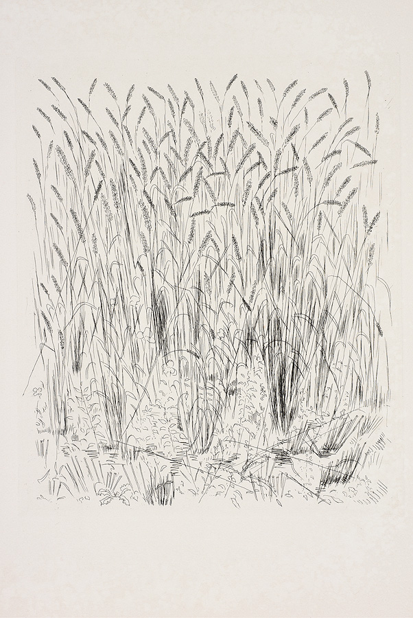 1976_18_140_a_1.jpg