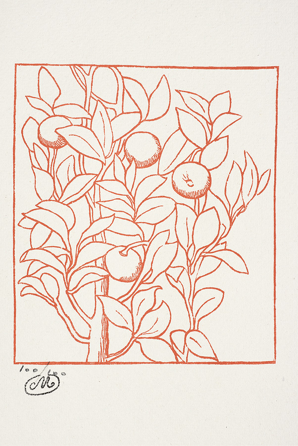 1976_18_118_1.jpg