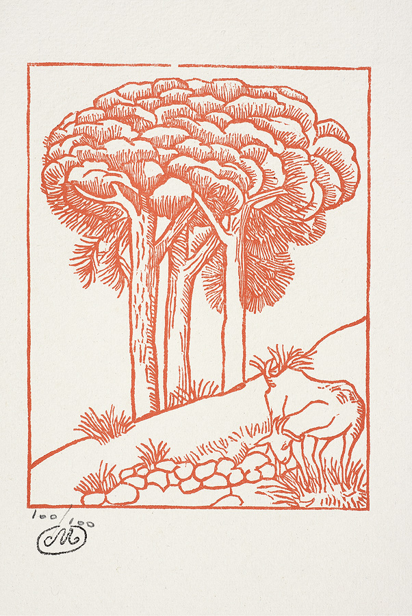 1976_18_118_1.jpg