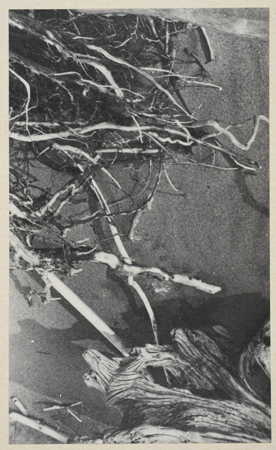 1936_3_3b.jpg