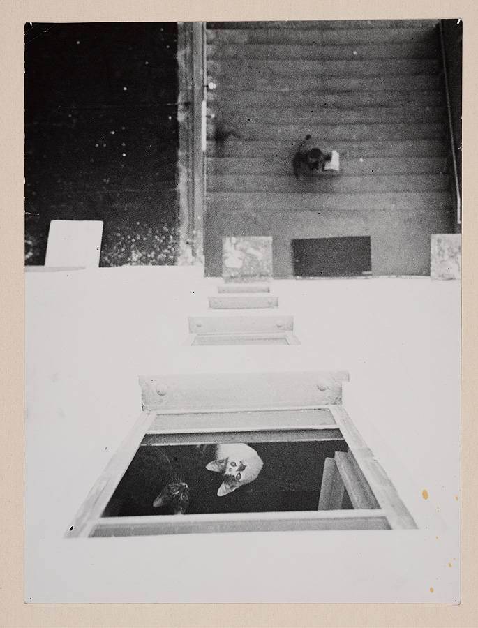 1937_1_2.jpg