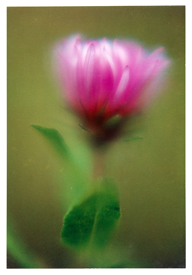 1977_14_2.jpg