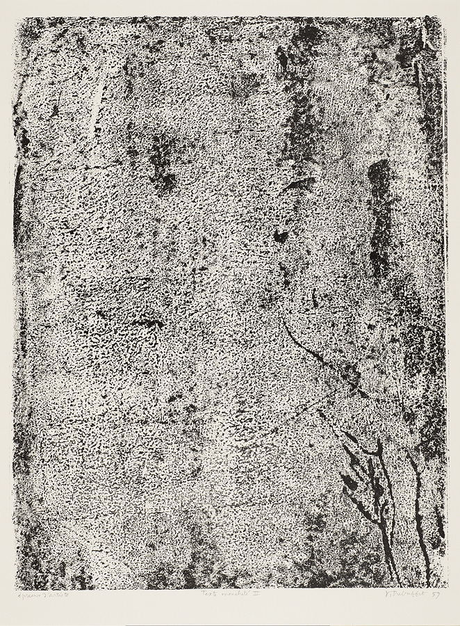 1967_42_35.jpg