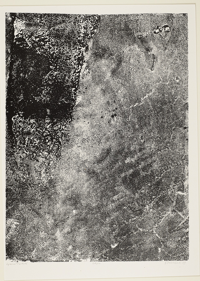 1967_42_37.jpg
