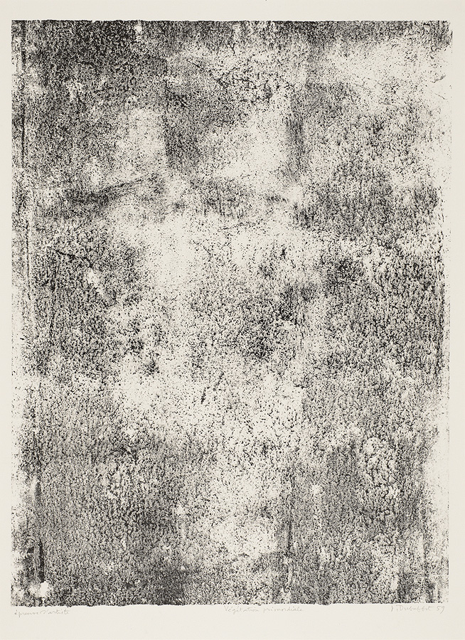 1967_42_41.jpg