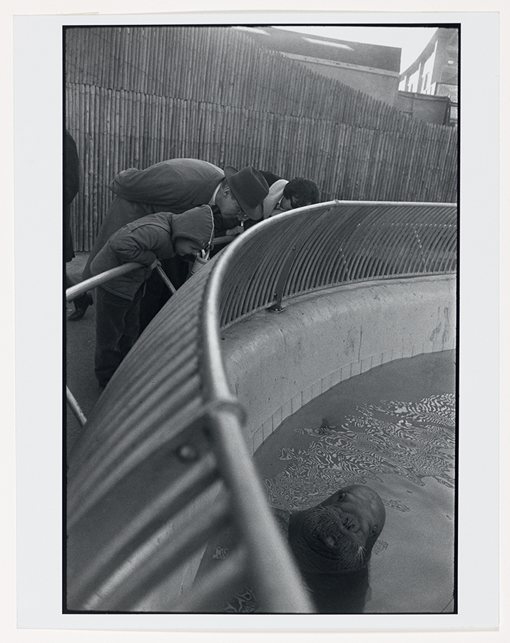 1992_55_7.jpg