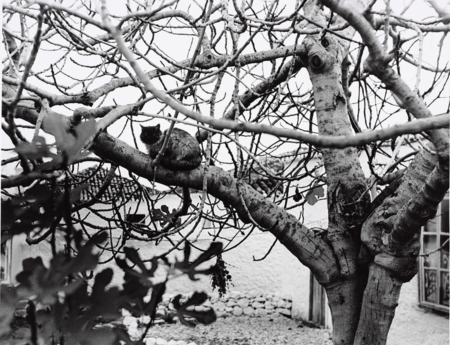 1984_24_3.jpg