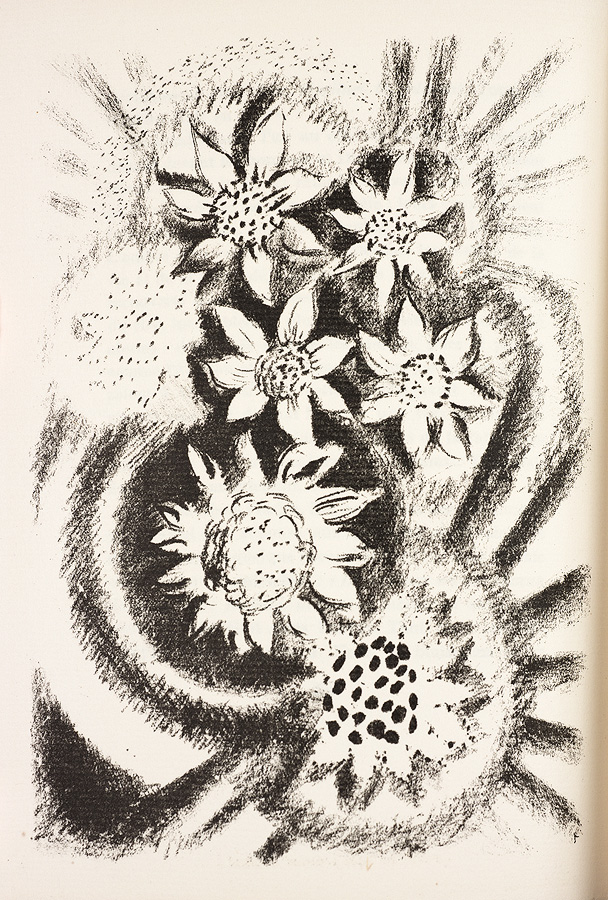 1978_56_52_1.jpg